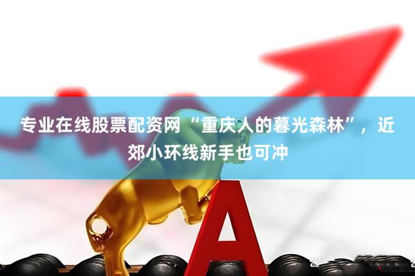 专业在线股票配资网 “重庆人的暮光森林”，近郊小环线新手也可冲